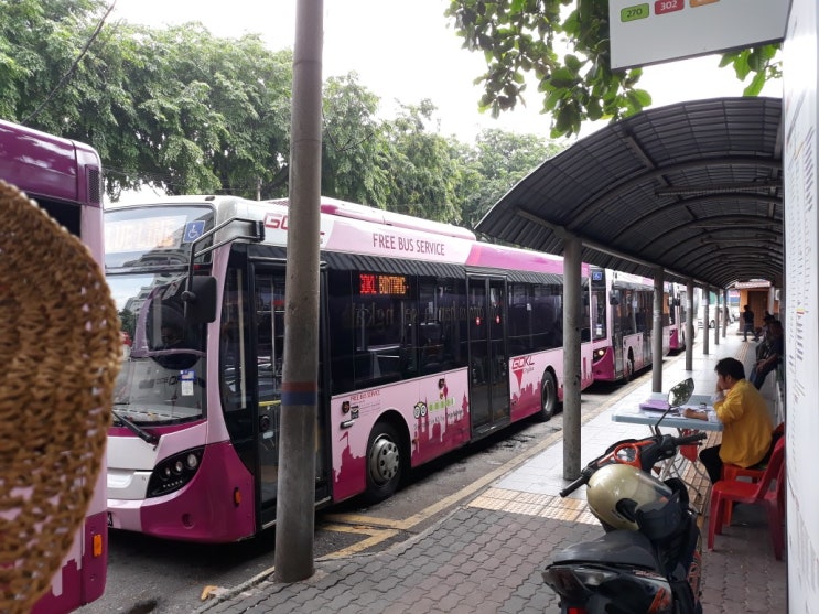 말레이시아 교통수단(시내버스)