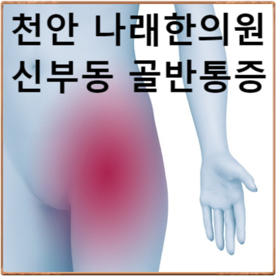  사타구니 근처 골반통증 원인 : 천안 신부동 나래한의원