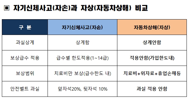  자동차보험 자상과 자손의 차이가 무엇이죠?