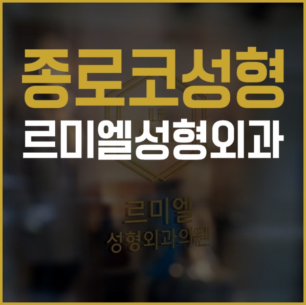 종로코성형 자신감 높이는 코성형 르미엘성형외과에서