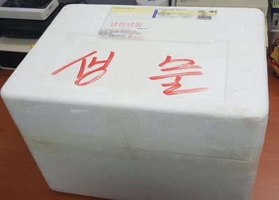  구피 키우기, 구피 키우는 방법, 자동청소어항 조립 방법
