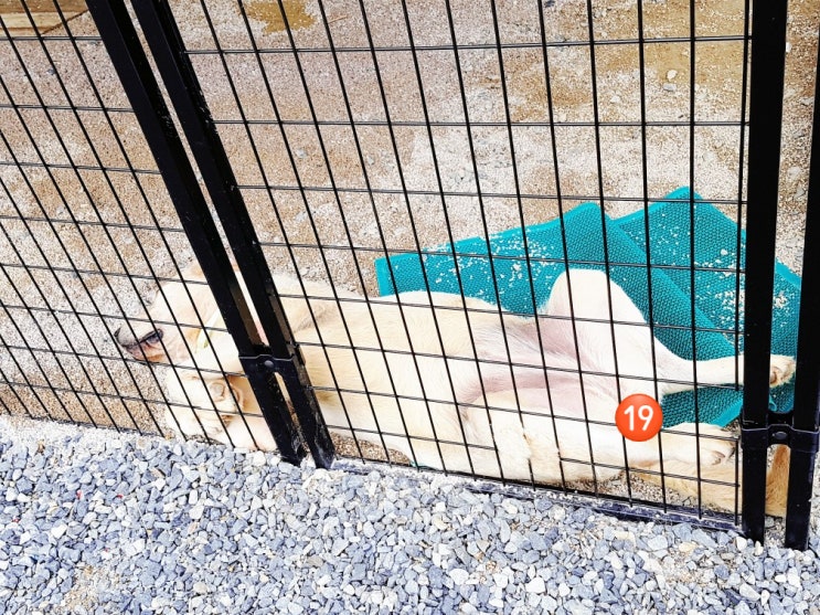  집정리와 가전가구 살림정리 공장정리 사업장 매장정리 전문 복실이네 입니다 구미 진평 인동 옥계 등 칠곡 석적 북삼 왜관 전지역 출장