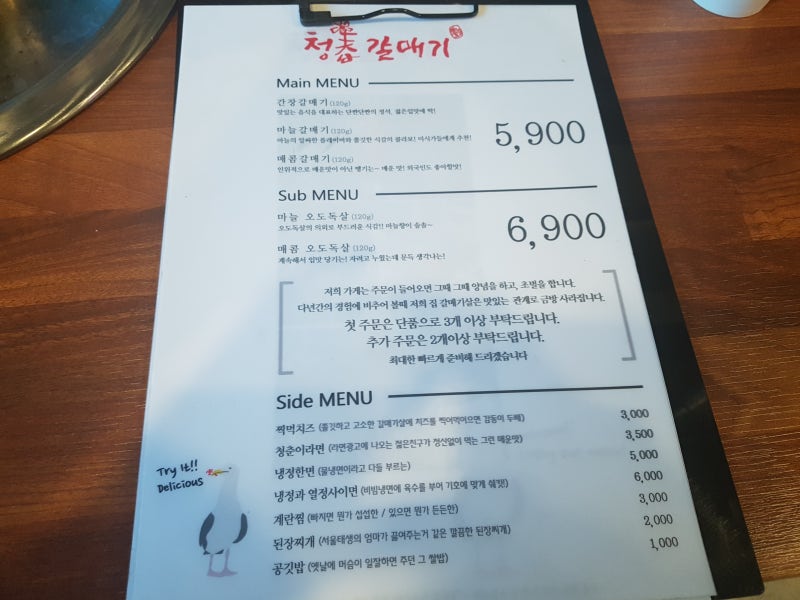 청춘갈매기 이미지