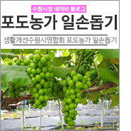[<b>수원</b><b>포도</b>/<b>농가일손돕기</b>] 생활개선<b>수원</b>시연합회의 <b>포도농가</b>... 