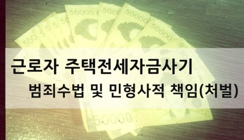 예금 및 대출 사기 혐의로 기소된 피고인에 대한 보호 관찰 기록 13