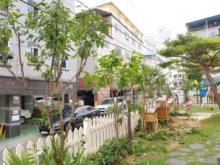  ｀구미시 송정동 어린이집 전정작업  。