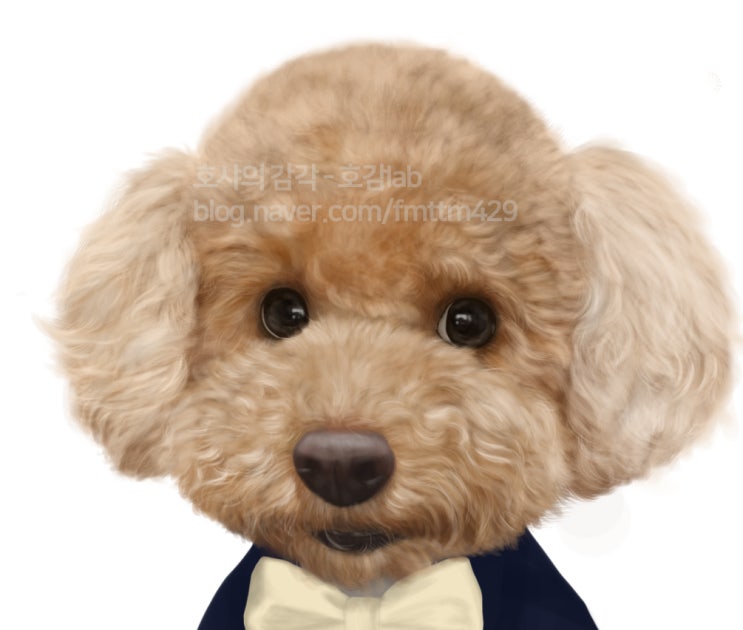 포토샵으로 푸들그리기 그림강좌 채색편