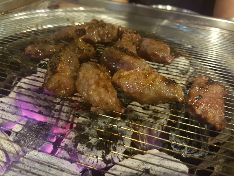 청춘갈매기 이미지