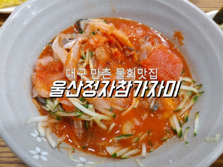  대구 만촌동 물회 맛집 울산정자참가자미
