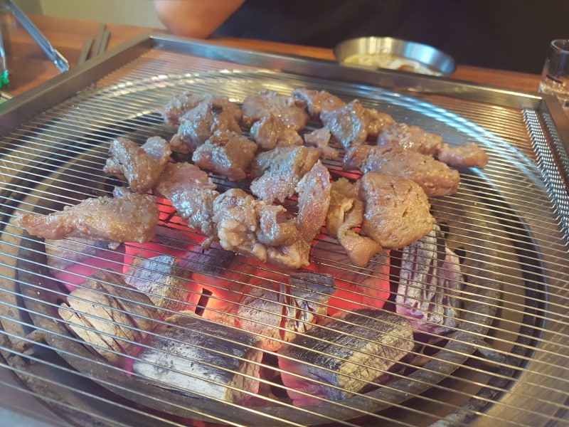 청춘갈매기 이미지