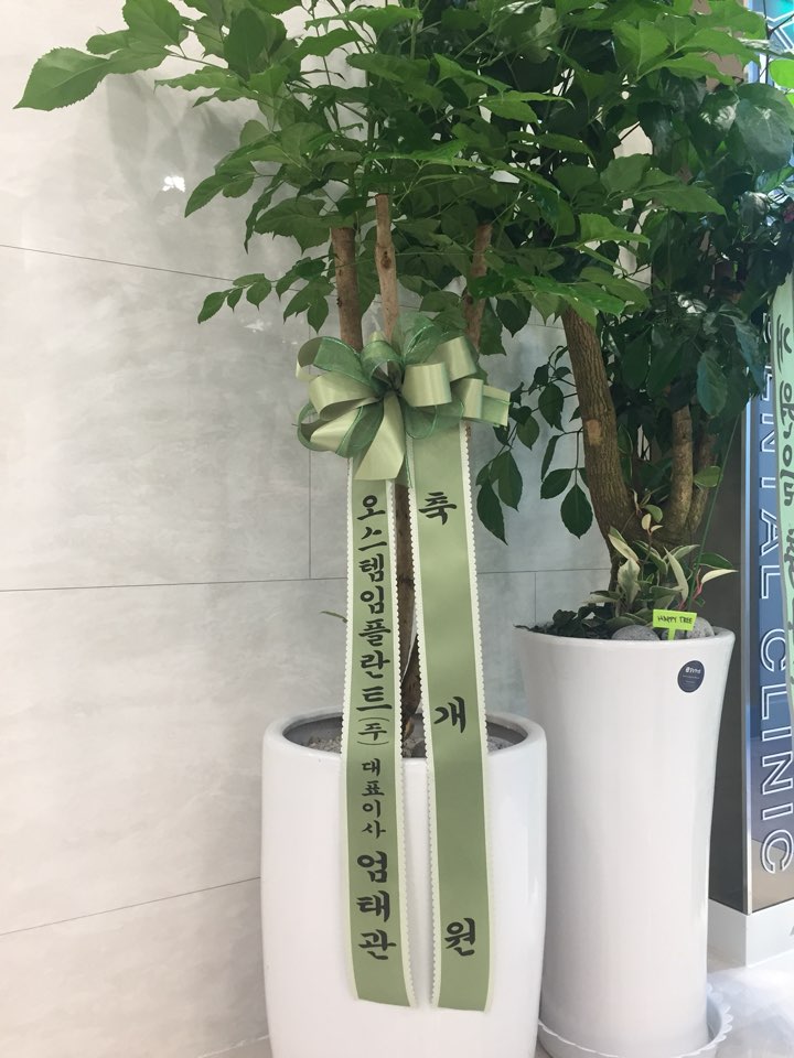  오스템임플란트 대표이사님, ㅅㅎ은행(본점) 부행장님 등/연세예감치과 오픈! 화환 & 개원선물받았어요