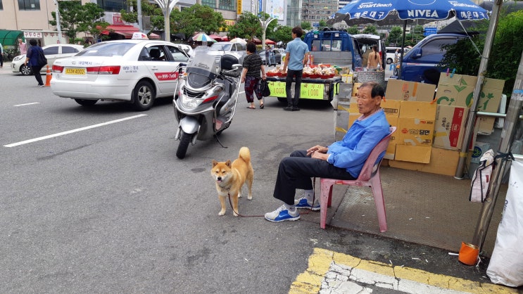  [20180707~0708] 부산여행 -2-
