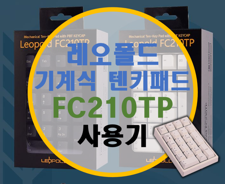 레오폴드 기계식 텐키패드 FC210TP 리뷰 (저소음 적축 튜닝기)