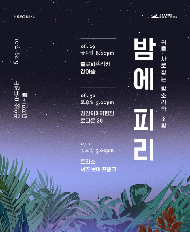  공연 / 밤에 피리 2018 - 블루파프리카, 강아솔