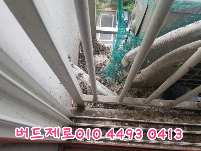[서울/경기]전지역 에서 가장 믿을수 있는 비둘기퇴치업체 버드제로 성남 단대동 진흥아파트 비둘기퇴치 완료!!