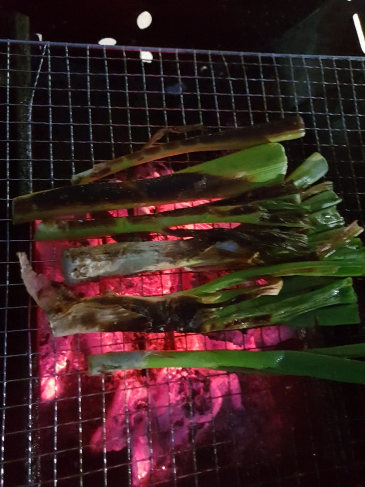  산청 물놀이펜션 무더운 여름 휴가 시원하게 자락애펜션 계곡에서