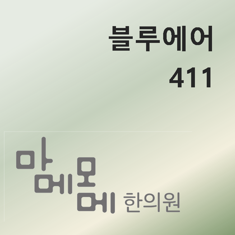 리뷰 - 마메모메한의원에서 쓰는 블루에어 411