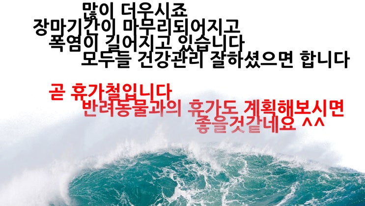  미국 LA강아지출국 검역 운송 고양이 반려동물해외여행 [사람과동반출국 서포트편]