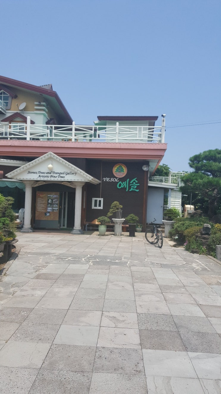  초복엔 삼계탕 제주맛집