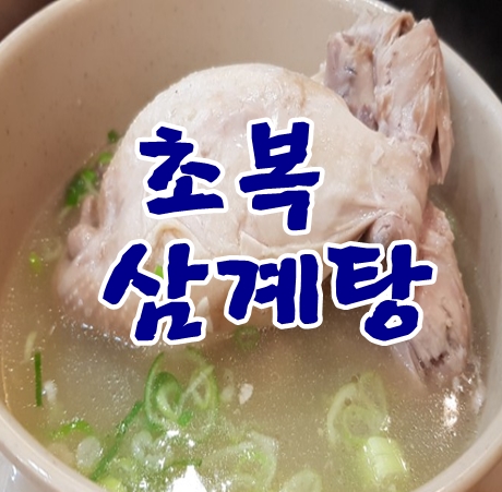  초복 삼계탕 왜 먹는걸까?
