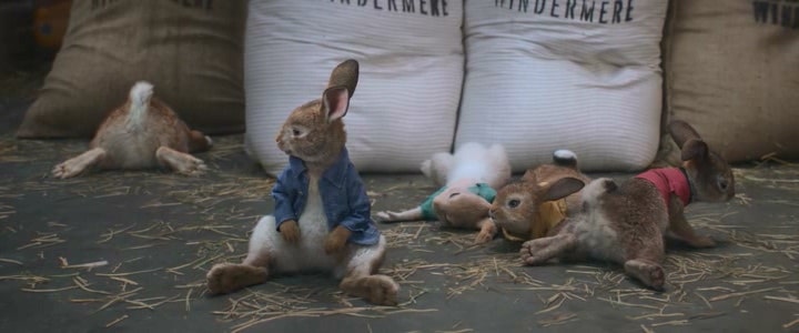 Peter Rabbit -12- Jul. 17, 2018 강의 : 네이버 블로그