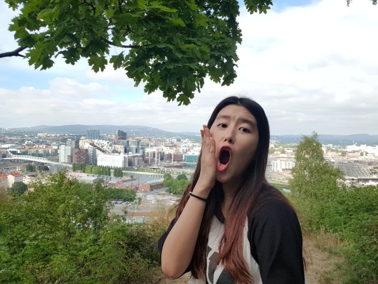  2018.07.16.월 :: 노르웨이 오슬로 여행, 잠시 스쳐지나갈게 오슬로! 그래도 구석구석. 뭉크와 절규
