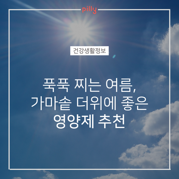  [건강생활정보] 여름철 체력관리 영양제 추천