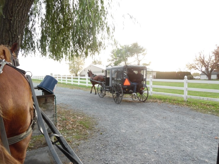 미국 동부 여행(아미쉬마을(The Amish Village))