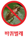  바퀴벌레 정보