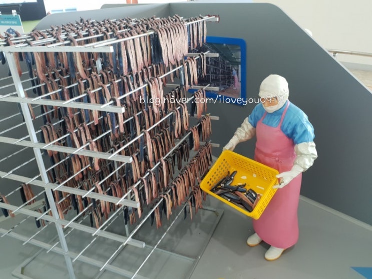 포항 나들이 ~ 구룡포 일본인 가옥거리, 과메기 문화관 포항 나들이 ~ 구룡포 일본인 가옥거리, 과메기 문화관
