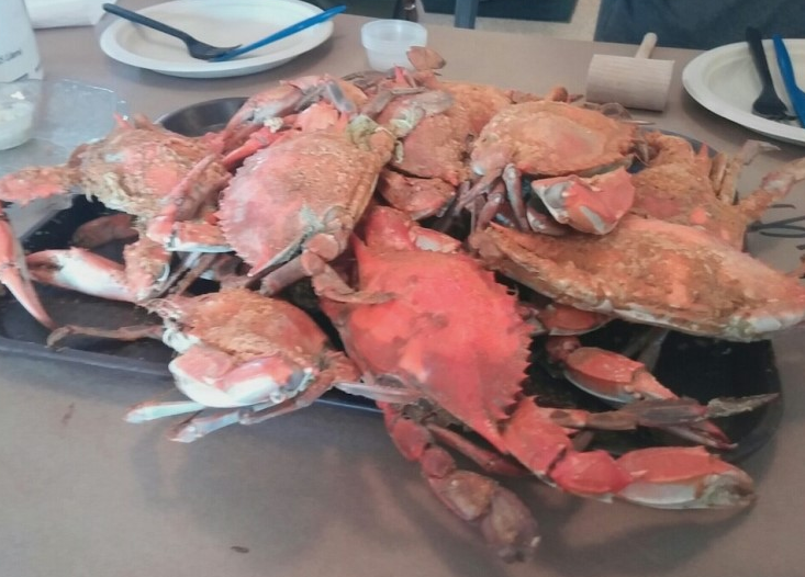 미국 동부여행(체서피크 베이 브리지(Chesapeake Bay Bridge), 블루크랩(Blue Crab)) 미국 동부여행(체서피크 베이 브리지(Chesapeake Bay Bridge), 블루크랩(Blue Crab))