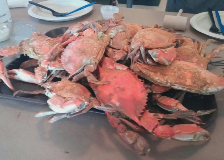 미국 동부여행(체서피크 베이 브리지(Chesapeake Bay Bridge), 블루크랩(Blue Crab))