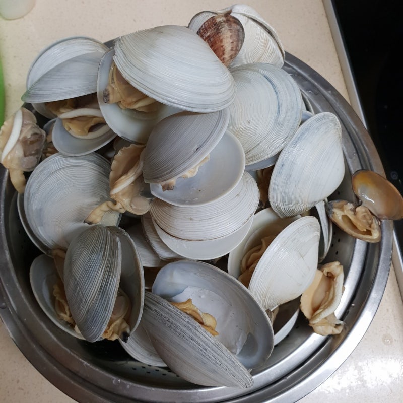 떡조개 해감,손질법 떡조개탕끓이기(해감불가)