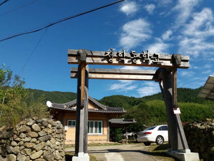  대안학교는 어떨까?