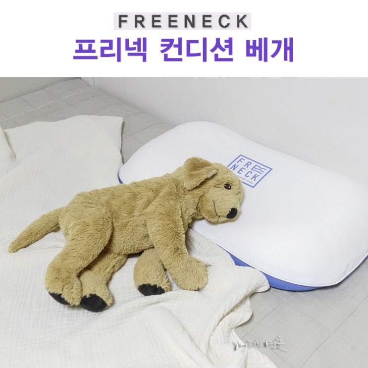  잠 잘오는 방법?아임슬리핑 프리넥 메모리폼 이동국 베개로 숙면해요!