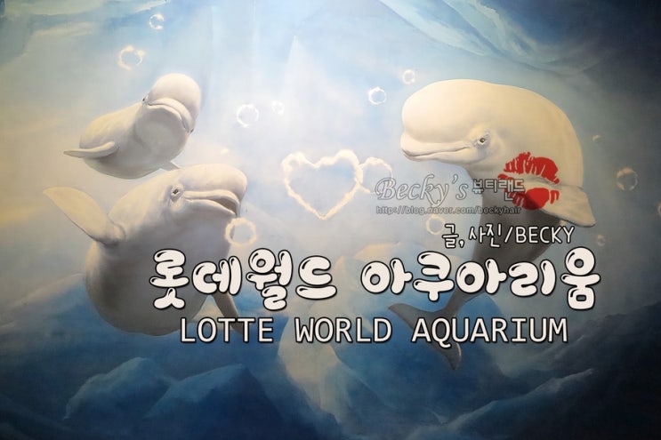  제2잠실 롯데월드 몰 아쿠아리움 입장권 40% 할인정보
