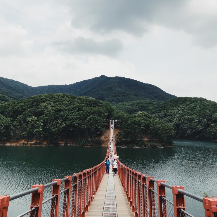  [양주/파주] 마장호수 출렁다리