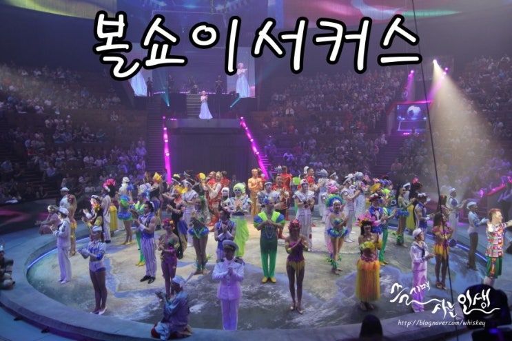  [러시아 자유여행] 볼쇼이 서커스 관람후기