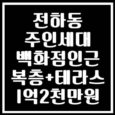  김해전하동주인세대전세 신축 첫 입주 복층 테라스 백화점근처에요~