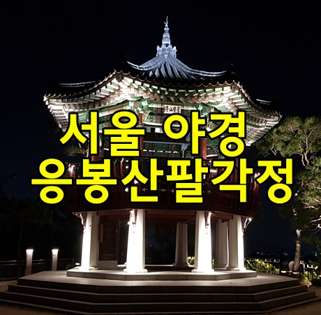 서울야경명소 응봉산팔각정 환상적이네요