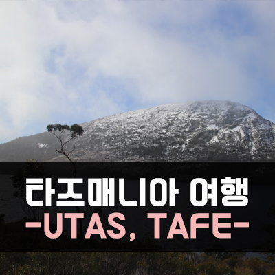  [호주여행] 태즈매니아/타즈매니아 여행 3탄 - Cradle Mt