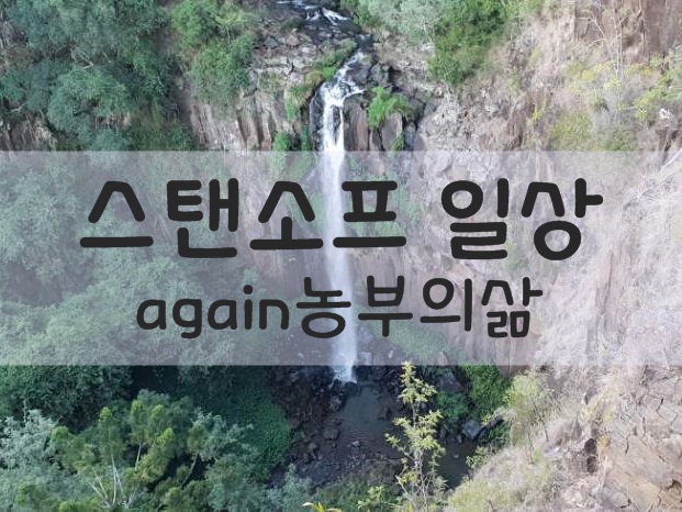  [호주워홀] 스탠소프 일상, 땀 흘려 번 피 같은 돈