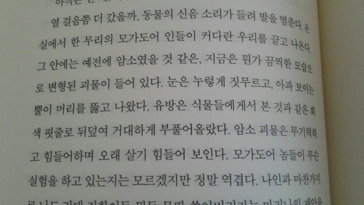  [2018-43~48] 아이 엠 넘버 포 1~6