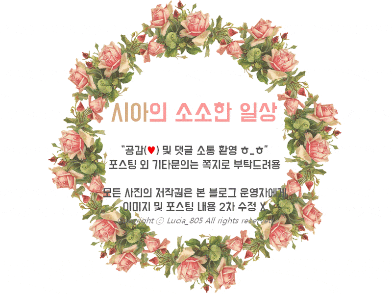 [리뷰] MOSMASTER 자격후기/ 공부방법/ 수험료/ 시험장후기