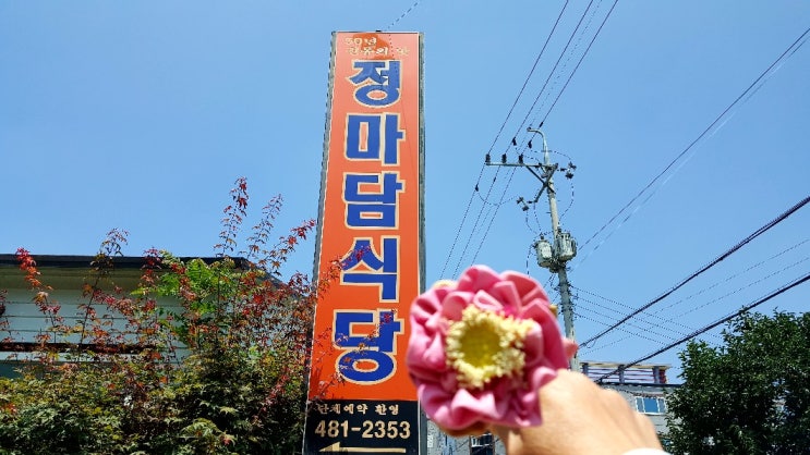  선산맛집[정마담식당]에서 맛있는 점심 한 끼 그리고...