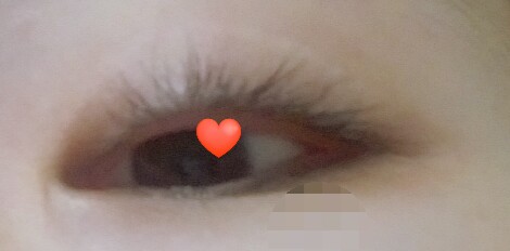  다이소 뷰러 쓰다가 속눈썹 짤렸어요....