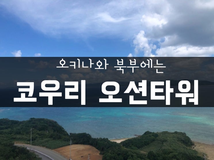  오키나와 북부에는 코우리 대교, 코우리 오션타워, 조개박물관이 있습니다!