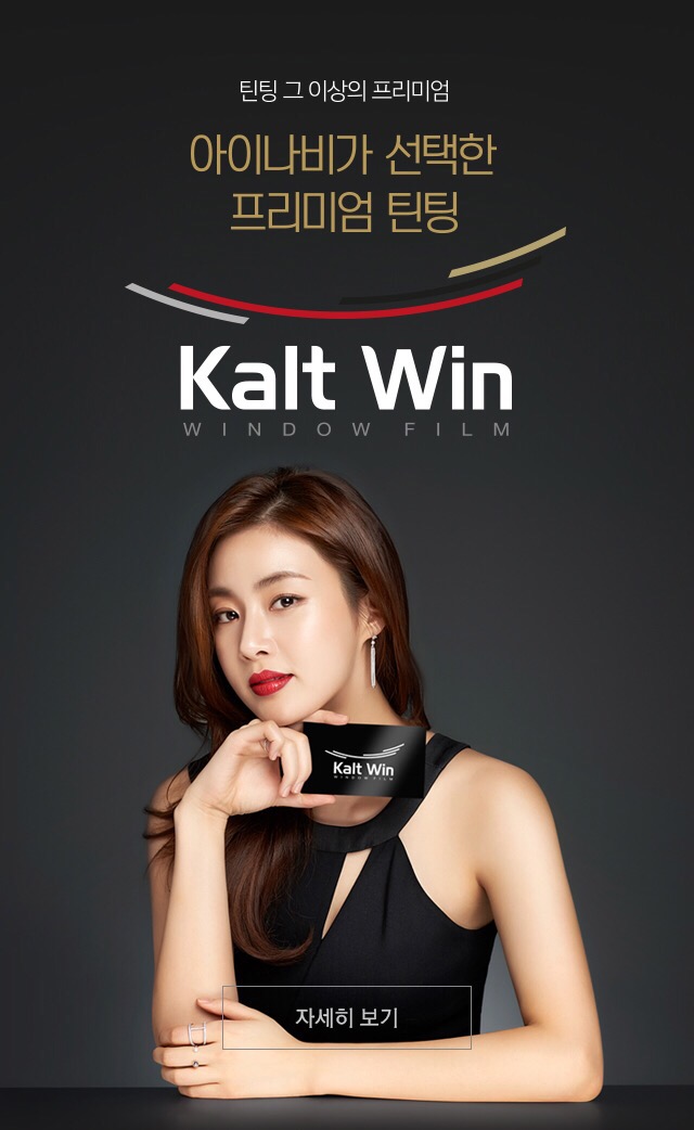  아이나비 칼트윈 썬팅!!