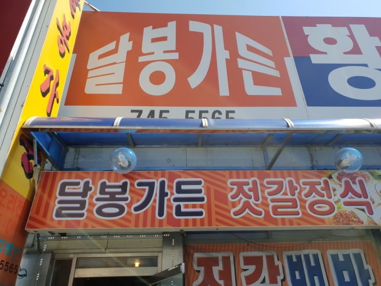  논산여행 강경 젓갈 백반 달봉가든