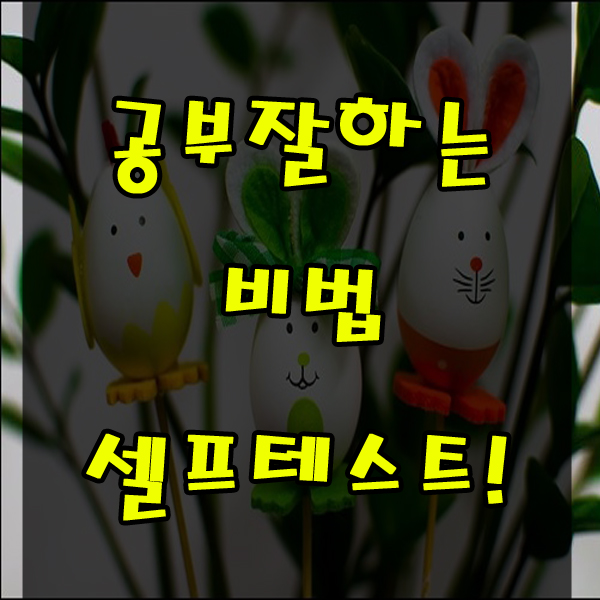 공부 잘하는 비법 1탄 메타인지 셀프테스트!